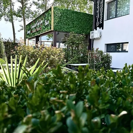 Renato House Guest house